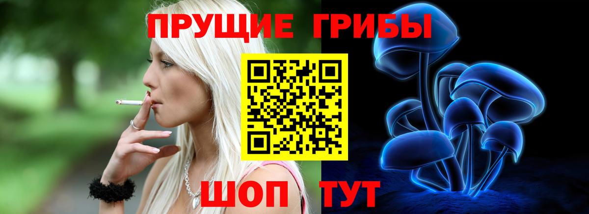 Улан-Удэ  наркота  Галлюциногенные грибы мицелий  Вход с VPN  Псилоцибиновые грибы GOLDEN TEACHER 